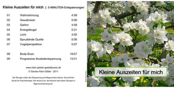 Cover Kleine Auszeiten 2011